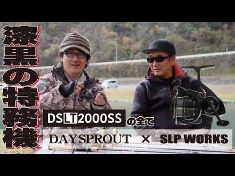 DSLT2000-SS-P | DAYSPROUT