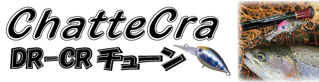 ChatteCra DR-CRチューン | DAYSPROUT